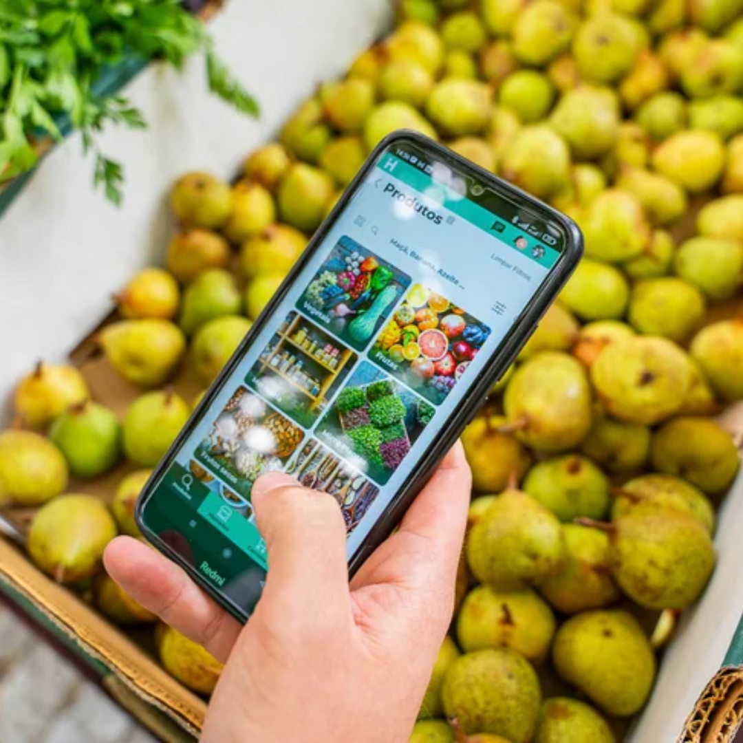 Hortee launches app in Porto to facilitate access to local organic products