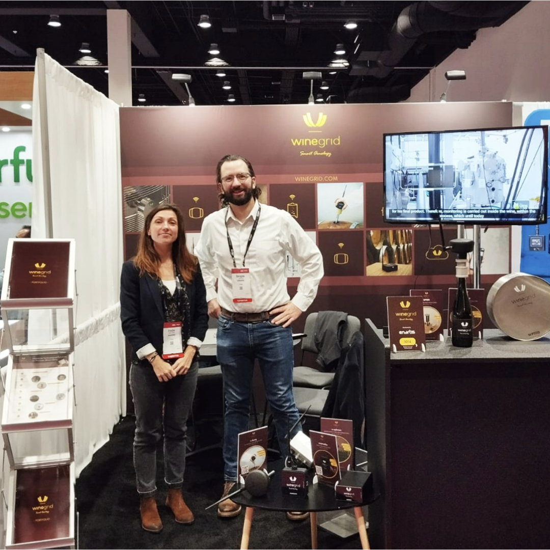 Design_sem_nome_2_c9cf2242