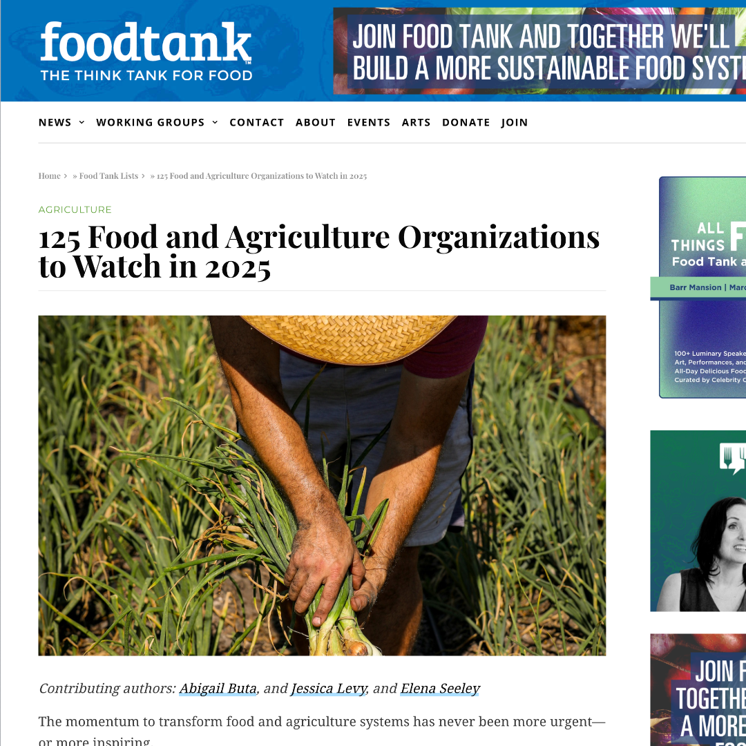 Adicionar_um_ttulo_39bfa8e2