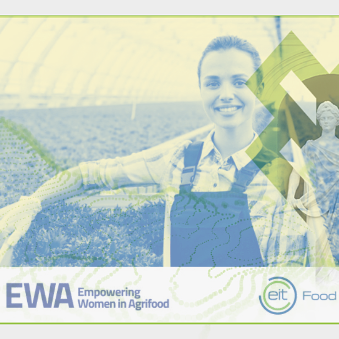 Adicionar_um_titulo_1