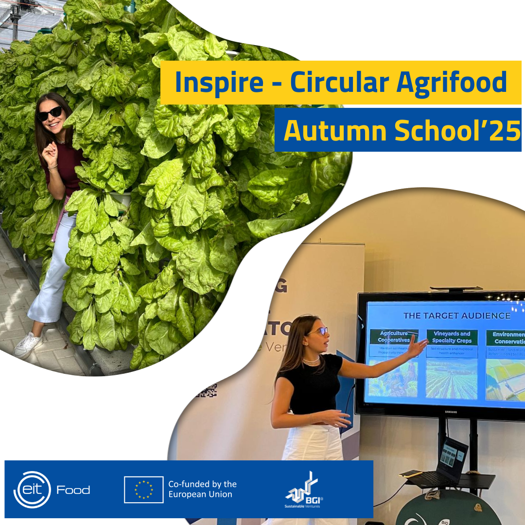 Adicionar_um_titulo_3