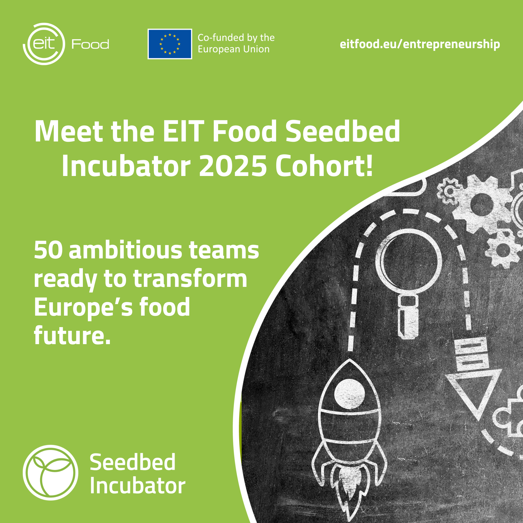 Copy-of-Seedbed-social-media-templates-2