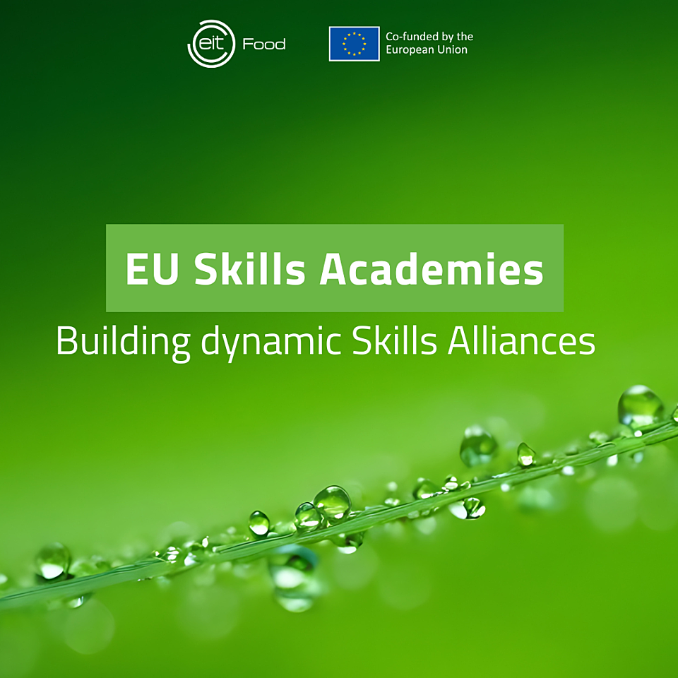 EU-Skills-Academies